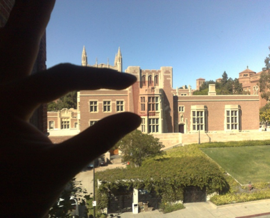 Polarizing Organic Photovoltaic Film