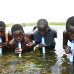 LifeStraw Portable Water Filter