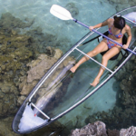Molokini Clear Canoe