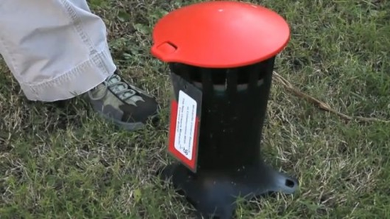 Tulane Mosquito