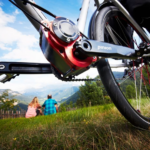 Pinion Bicycle Sealed Gearbox