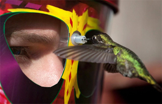 eYe2eYe Hummingbird Feeder Mask